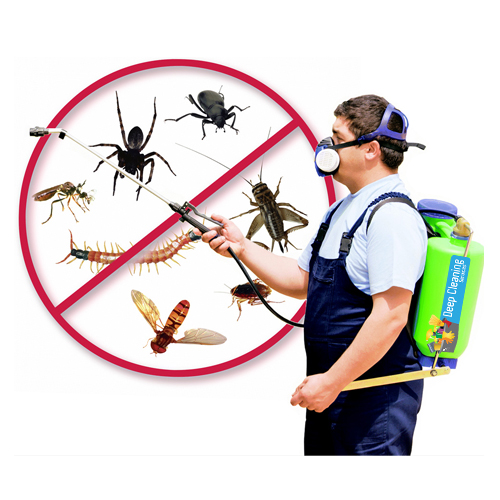 Pest Control Process